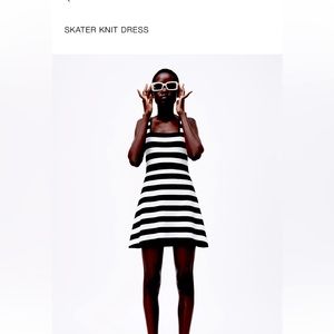 Zara skater dress. New!